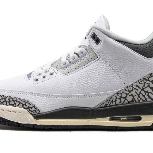 Air Jordan 3 GS "Hide N Sneak"