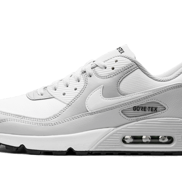 Air Max 90 "Gore-Tex"