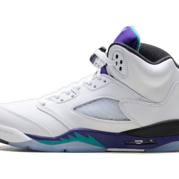 Air Jordan 5 Retro GS "Grape"