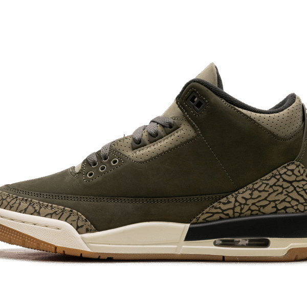 Air Jordan 3 GS "Family Affair"