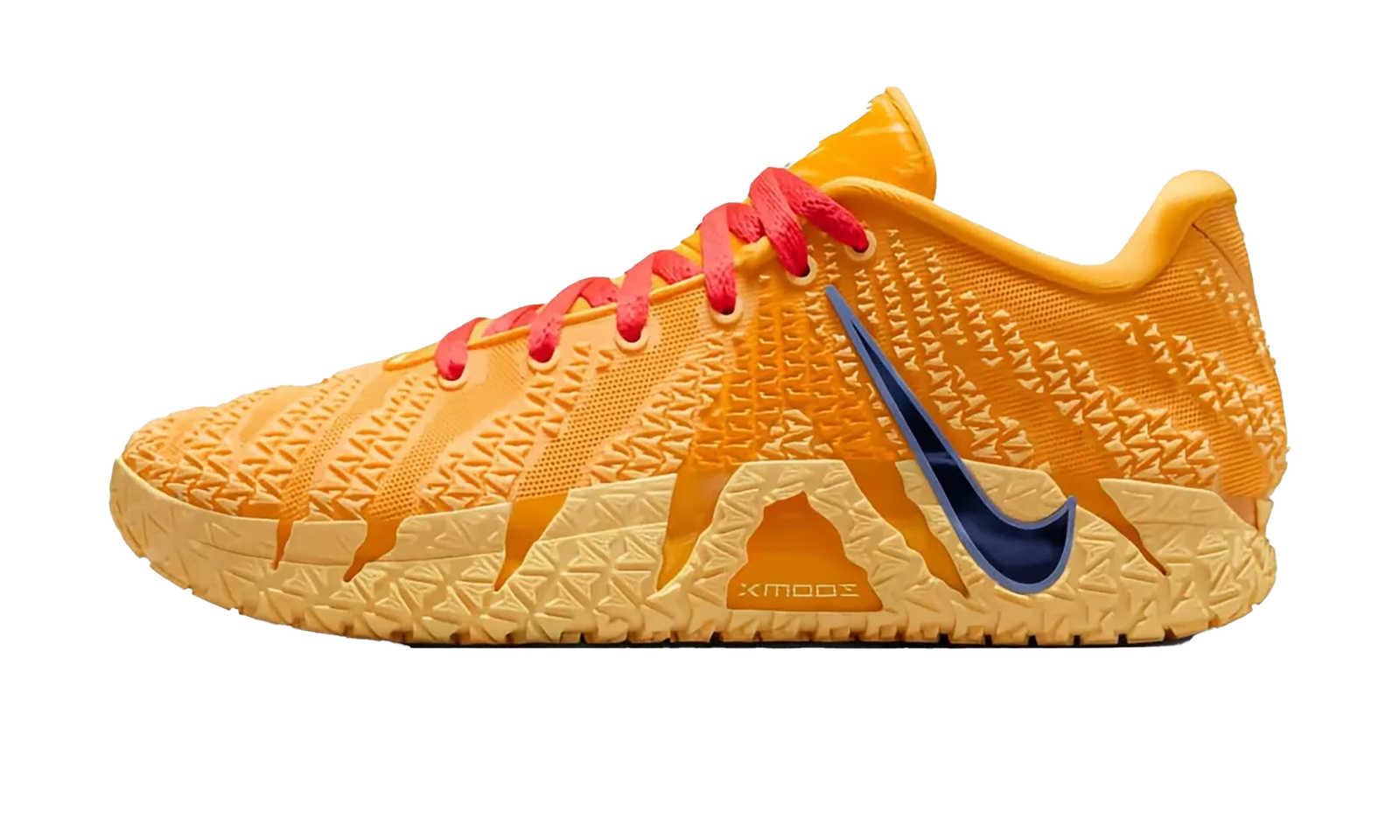 jcjq5sg8biaft3qw78x8434x0zpv