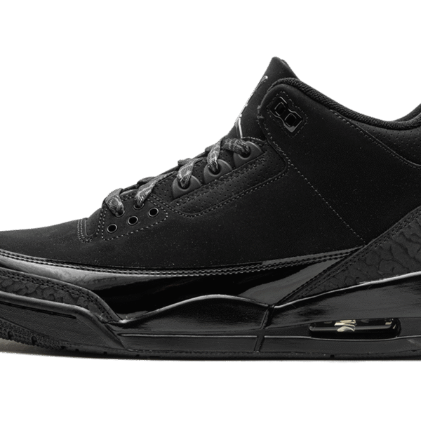 Air Jordan 3 "Black Cat 2025"